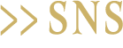 sns